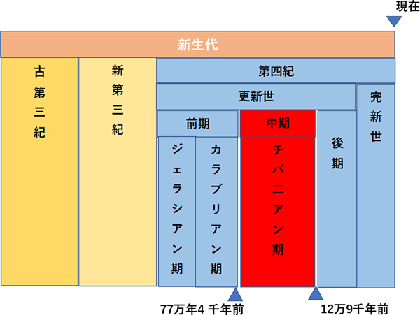 図-1 新生代の主な地質区分（文献１・文献2参考）