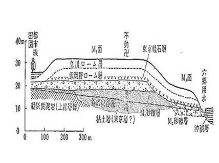 図-２ 等々力渓谷付近の地質断面（文献1）