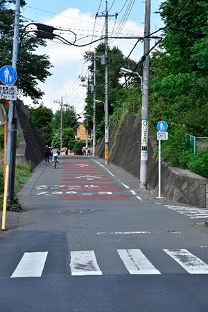 上ノ原公園側道（カニ山に向かう途中）