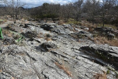 写真-1 秩父長瀞の岩畳（国の天然記念物）（六郷課長の撮影：結晶片岩）